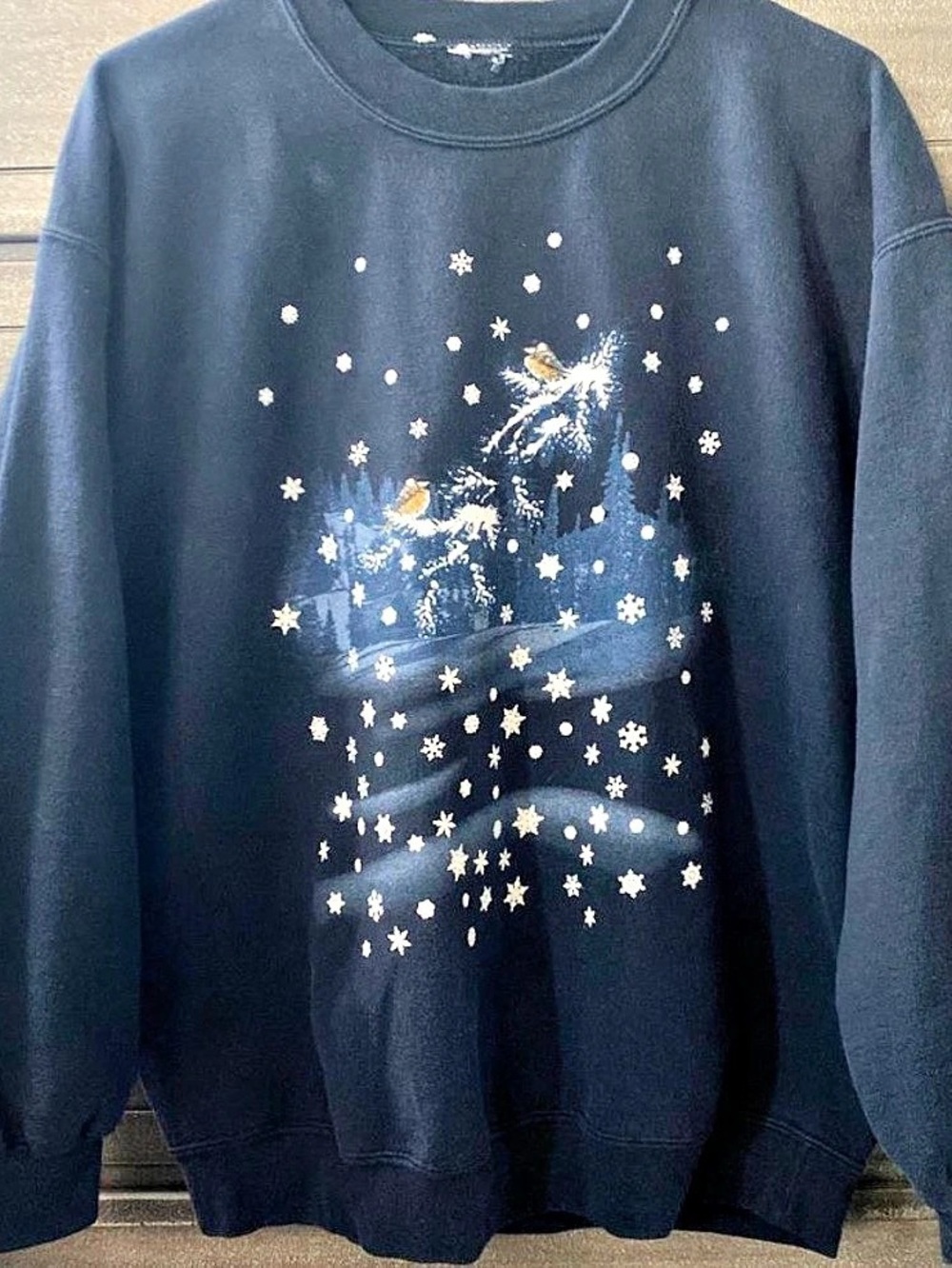 winter sweatshirt